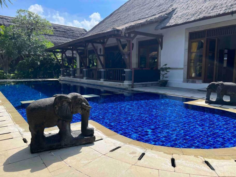 Bali Berg Villa, विला
